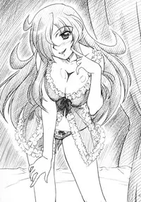 (C71) [MEKONGDELTA & DELTAFORCE (Route39, Zenki)] VOID (Zero no Tsukaima)