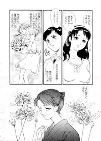 [Fujii Akiko, Akiyama Michio] Hitozuma Moyou 3 Midarezuma