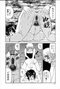 [Yamamoto Yoshifumi] Inzetsu no Bara - Desolute Rose