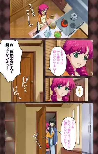 My Imouto Koakuma na A-Cup complete ban