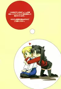 (C66) [Yaesaka (Yaesaka Satoru)] This Illusion (Fate/stay night)