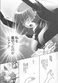 [Studio Mizuyokan (Higashitotsuka Rai Suta)] Fallen - DA - (Gundam ZZ)