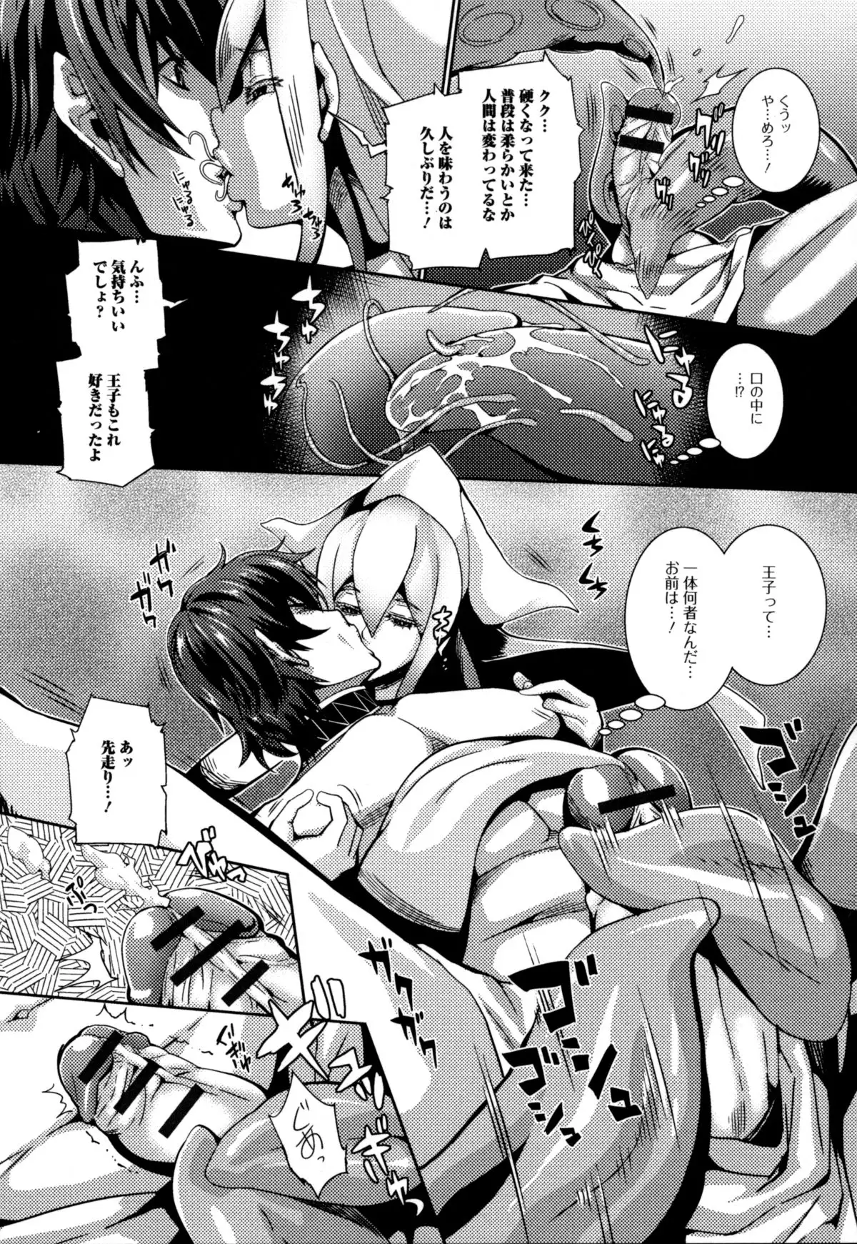 Monster musume to no kougou