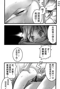 (Meikasai 2) [Points (HAM)] Zero degrees centigrade (Touhou Project) [Chinese] [迷途竹林汉化]