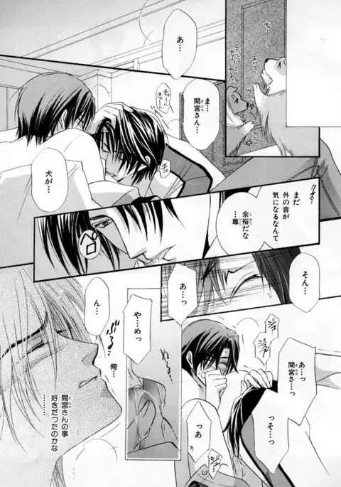 b-BOY Phoenix Vol.3 Tsundere Tokushuu