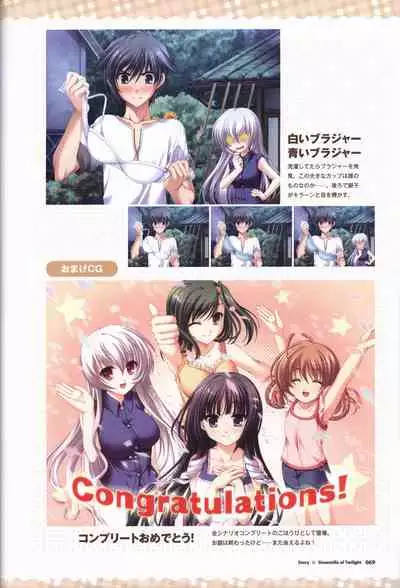 Tasogare no Sinsemilla Official Visual Fan book