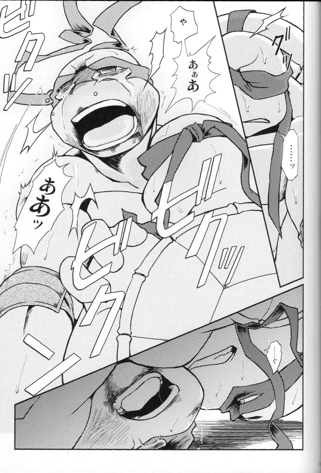 FALLEN - Raph vs Leo - Teenage Mutant Ninja Turtles, TMNT doujinshi