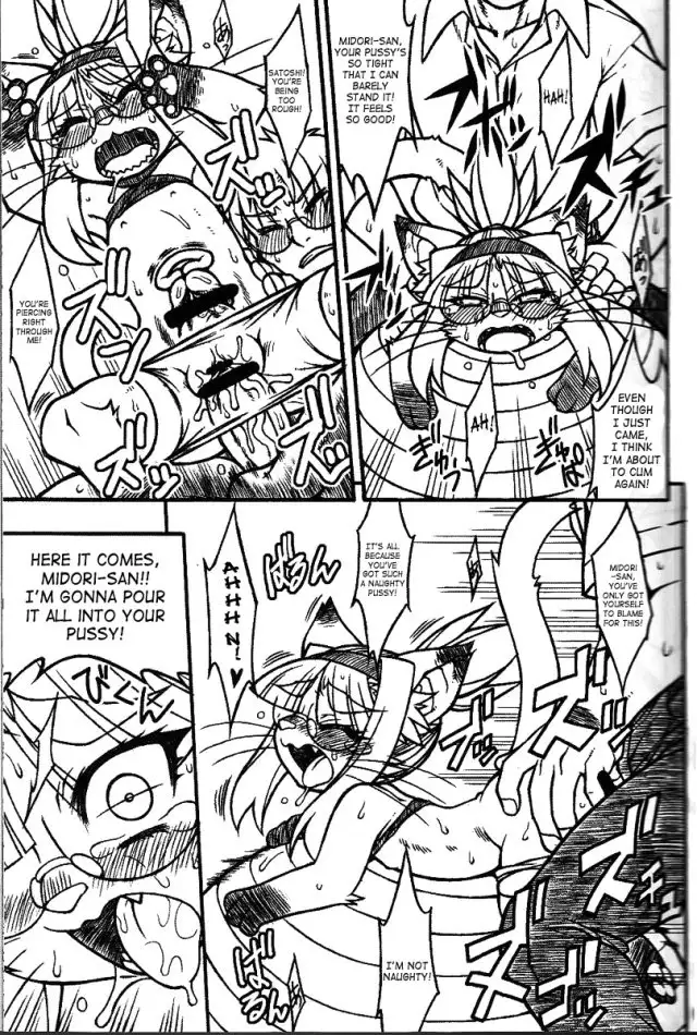 Midori's Neko Kano 2