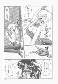 [Neriwasabi] Shinzou Ningen Struggle Bunny 2 - Gekitou Hen