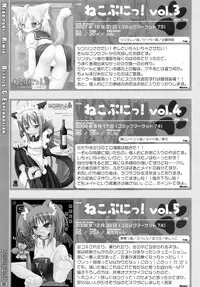 (C77) [Cat Expert (Nekousa)] Neko Puni! Remix