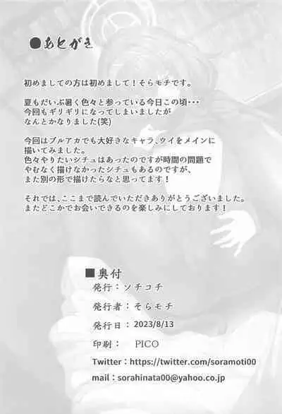 Himegoto wa Koshokan de