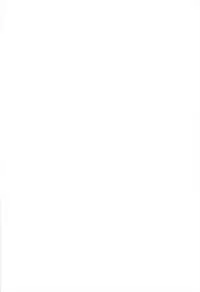 (C83) [Gainamon (Natsu no Koucha)] Nichijou Seikatsu -0- (Touhou Project) [English] {biribiri}