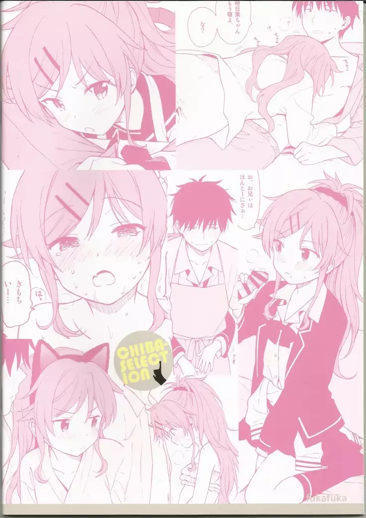 Chiba Selection Hozonban