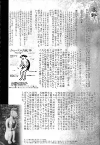 (C89) [SHIS (Z-ton)] A Beautiful Greed Z-ton Jingai Soushuuhen