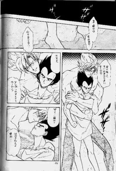 Koko Dake No Futari!!