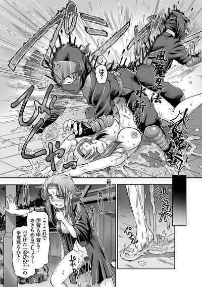 JK Ninja Marimo Ninpouchou