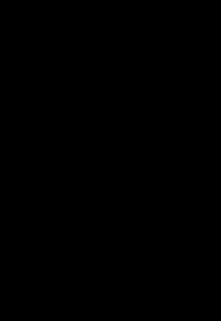 (C84) [Waffle Doumeiken (Tanaka Decilitre)] Fake Lovers (Nisekoi) [English] [shakuganexa]