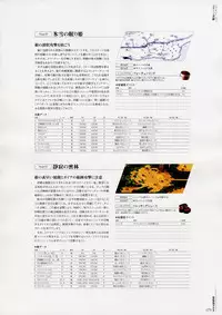 [Various] Moldavite Visual Fanbook