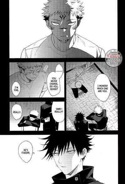 Marigold e | My Dear Marigold