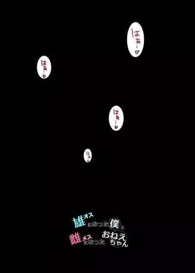 Osu ni Natta Boku to Mesu ni Natta Onee-chan