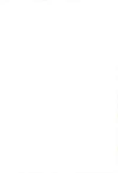 Tantei no Ohanabatake