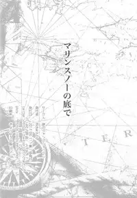 [謎のジャンボシャコマン] マリンスノーの底で (戦艦少女)