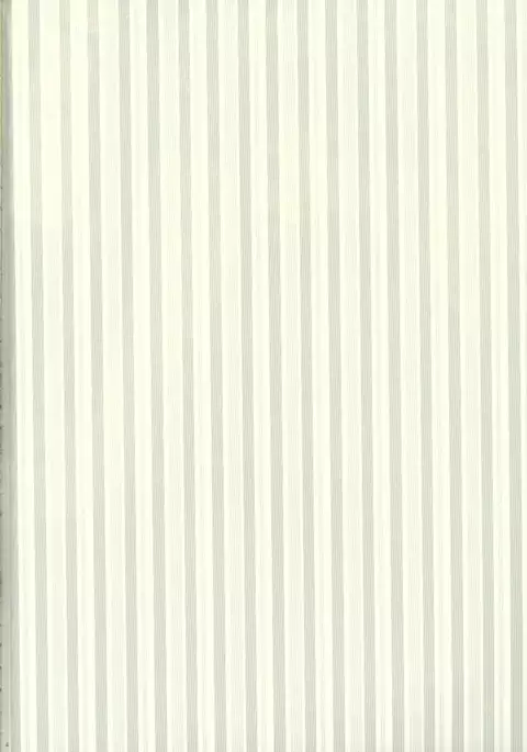 Kuma-chan ga Fuyufuku ni Kigaetara