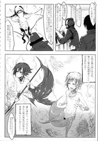 (C89) [SHIS (Z-ton)] A Beautiful Greed Z-ton Jingai Soushuuhen