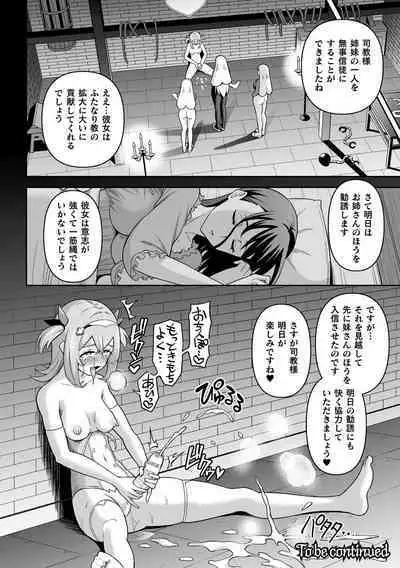 Kukkoro Heroines Vol. 29