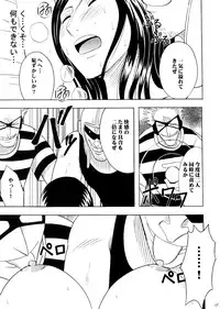 [Crimson Comics (Carmine)] Robin Hard (One Piece)