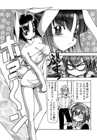 [Itoyoko] Mesu Neko - Maid Cats Story