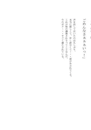 男の娘セーラー戦士W