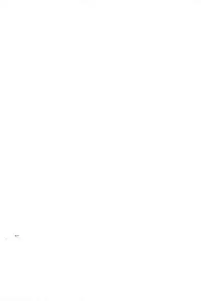 Yukichi 3 Mai de Katte Kureru Anata ga Suki