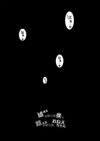 Osu ni Natta Boku to Mesu ni Natta Onee-chan