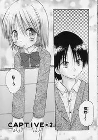 (C68) [Penguin San (Shinosaki Ariko)] CAPTIVE 2+