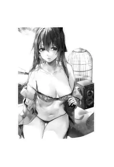 HANAGASA YuShizu Soushuuhen | Unmarked, Hanagasa