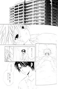 [Sakura Ashika] Bucchoudura ni Koi o Shite