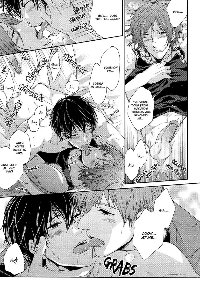 Please Forgive This Bad Dolphin