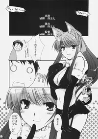 (C72) [CHAGASHI SAIBAN (Yamabuki Mook)] Aisai (Double Sensei Life)