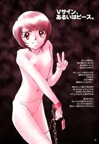 [Studio309 (Horimoto Akira) Dynamic Lolita Library CE2.0　