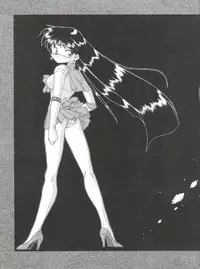 (C48) [豺狼出版 (J・さいろー)] 燕雀 Volume 1 (エルフ・１７、魔法騎士レイアース)