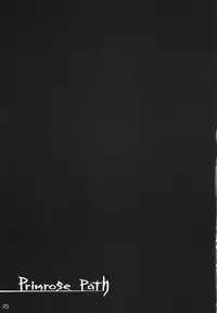 (C73) [Youmusya (Gengorou)] Primrose Path (Touhou Project)