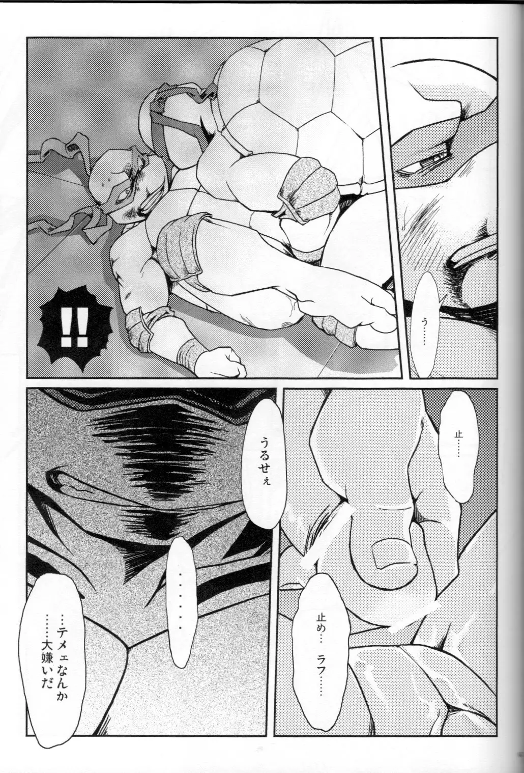 FALLEN - Raph vs Leo - Teenage Mutant Ninja Turtles, TMNT doujinshi