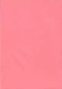 [System Speculation] Technical S.S.1 - 2nd Impression (Evangelion) [ENG]