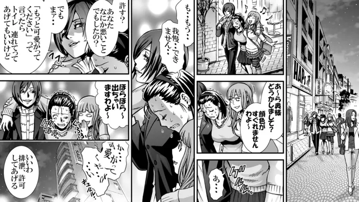 SNS no higeki furin no daishō