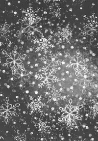 (C77) [NIKKA (Mario Kaneda)] Ryuusei LOVERS 2 (DARKER THAN BLACK)