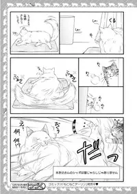 MAGAZINE BE×BOY 2015-12 [Digital]