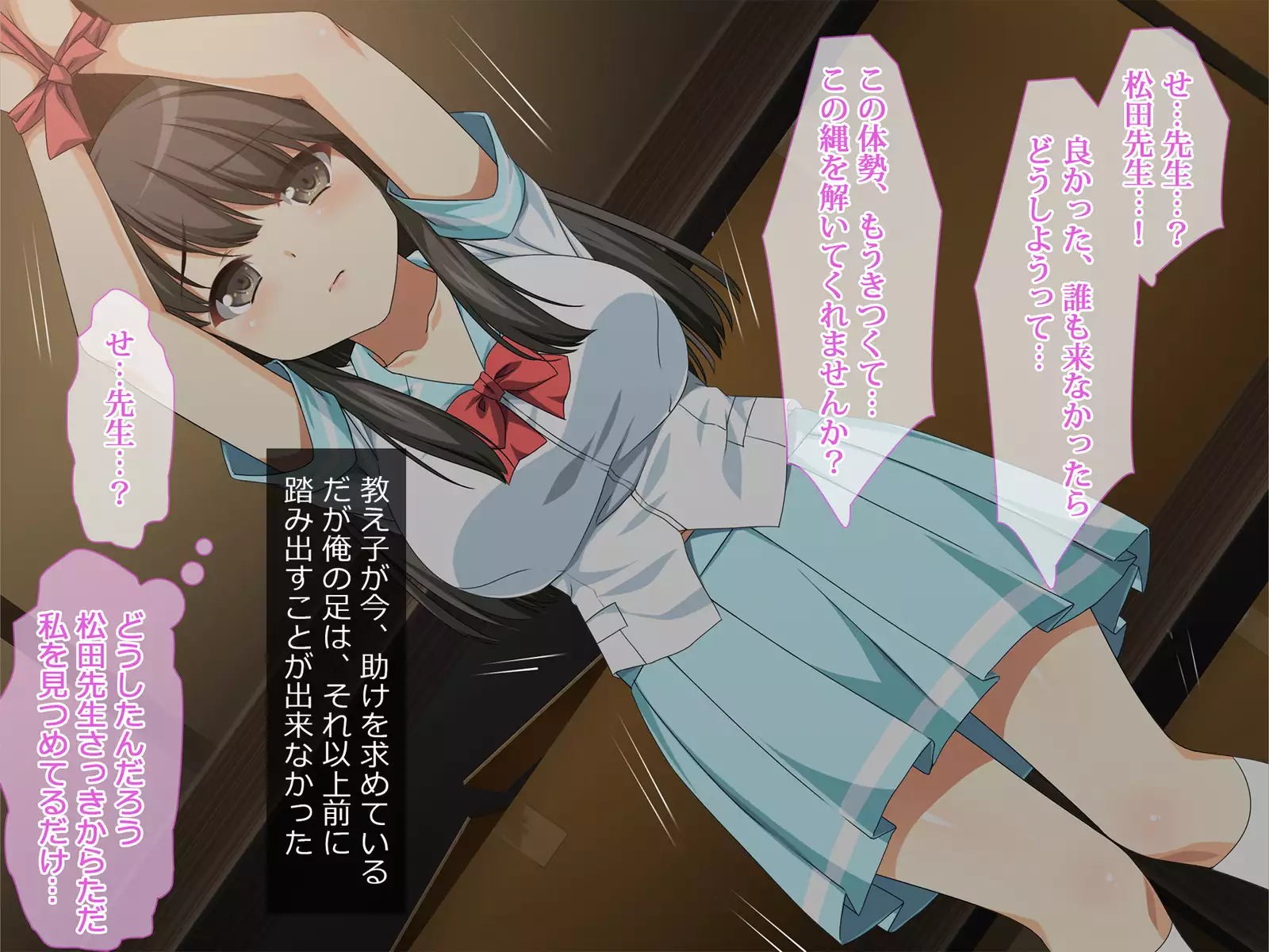 Flesh Holes That Can't Resist ~Schoolgirls Bound At Night~