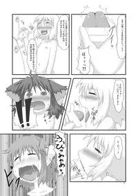 (C80) [Fukakutei Kuukan (aruva)] Genjuu Kaigi 3 (Summon Night 2)