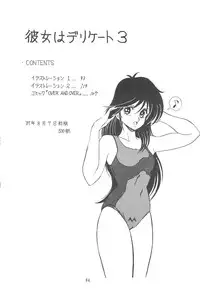 (C36) [DESTINATION (Oda Jun)] Kanojo wa Delicate SPECIAL (Combattler V)